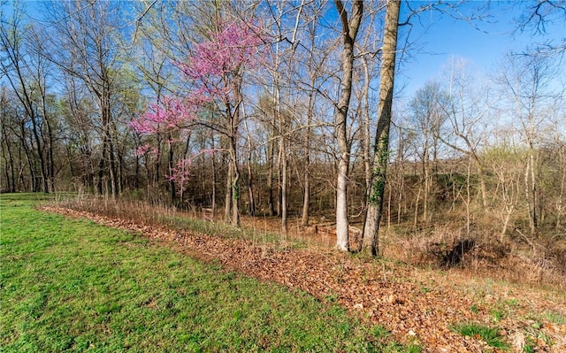 19218 Huntington Dr, Gravette, AR 72736 - photo 22