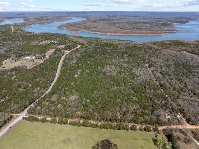 * Horseshoe Bend Road, Lead Hill, AR 72644 - photo 1