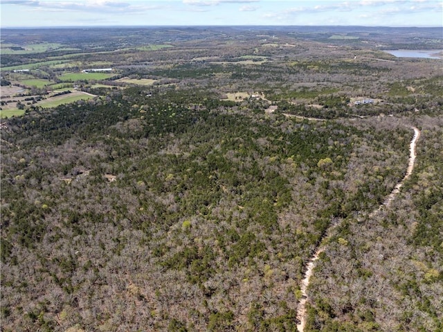 * Horseshoe Bend Road, Lead Hill, AR 72644 - photo 7