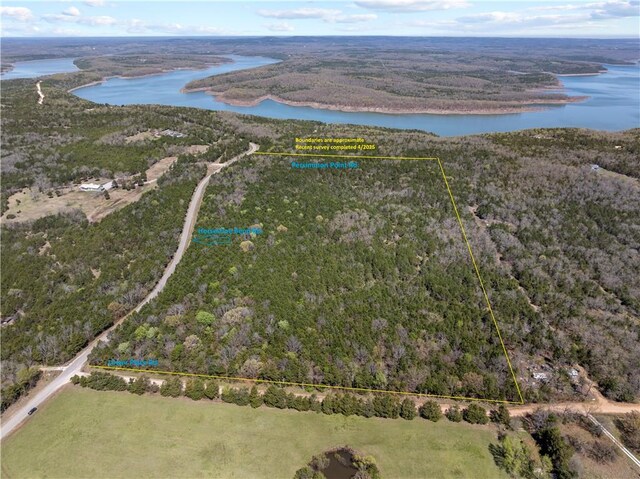 * Horseshoe Bend Road, Lead Hill, AR 72644 - photo 2