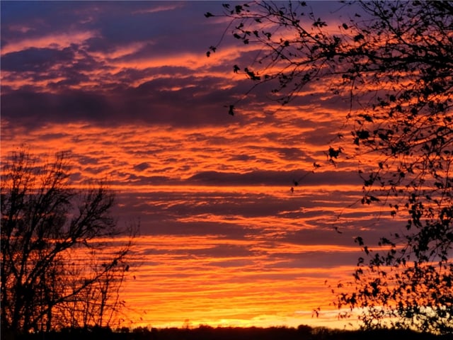701 Crossbow Rd, Huntsville, AR 72740 - view of local wilderness