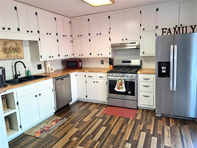 701 Crossbow Rd, Huntsville, AR 72740 - kitchen with stainless steel appliances, a sink, under cabinet range hood, and dark wood-style flooring