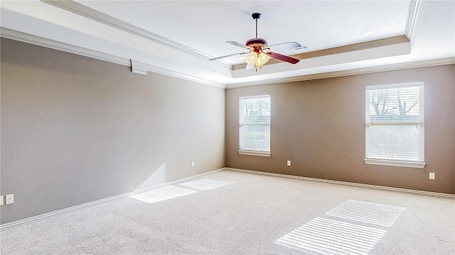 spare room featuring plenty of natural light, carpet, a tray ceiling, and crown molding
