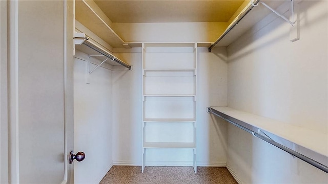 spacious closet with carpet