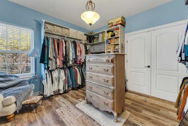 1402 NE Fairwinds Dr, Bentonville, AR 72712 - spacious closet featuring light wood-style floors