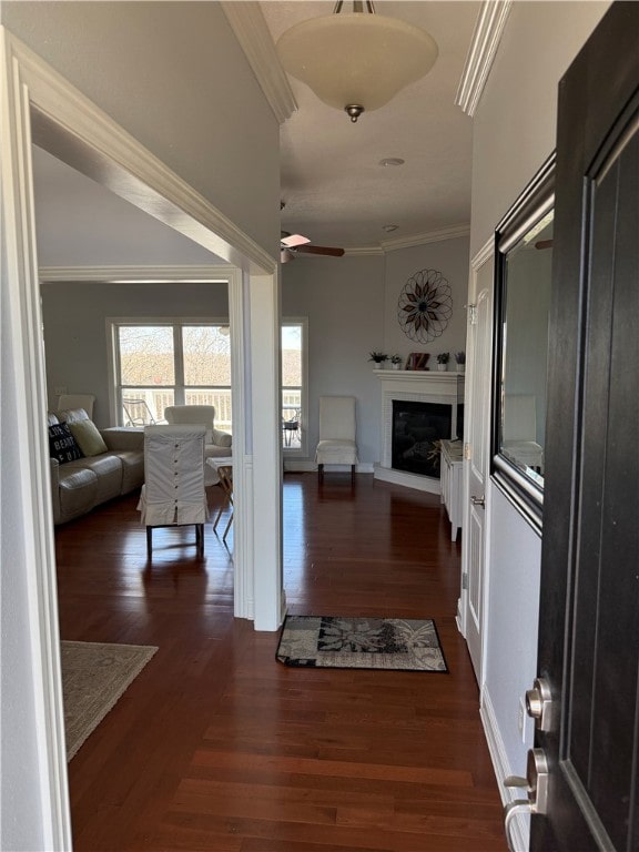 interior space featuring a glass covered fireplace, wood finished floors, ceiling fan, and crown molding