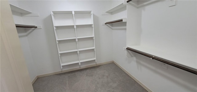 spacious closet with carpet floors