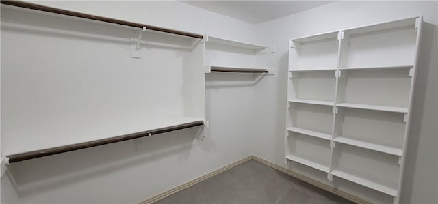 spacious closet with carpet floors