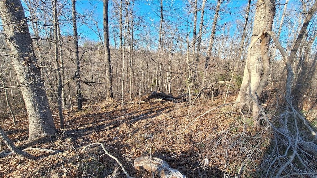 Munster Dr, Bella Vista, AR 72715