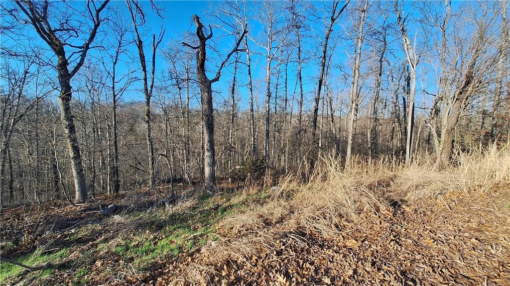 Munster Dr, Bella Vista, AR 72715