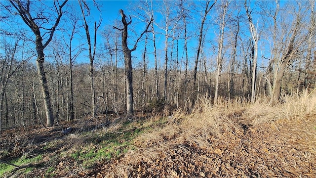 Munster Dr, Bella Vista, AR 72715