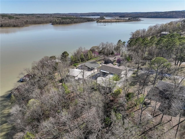 16446 Pin Oak Ln, Rogers, AR 72756 - bird's eye view with a water view