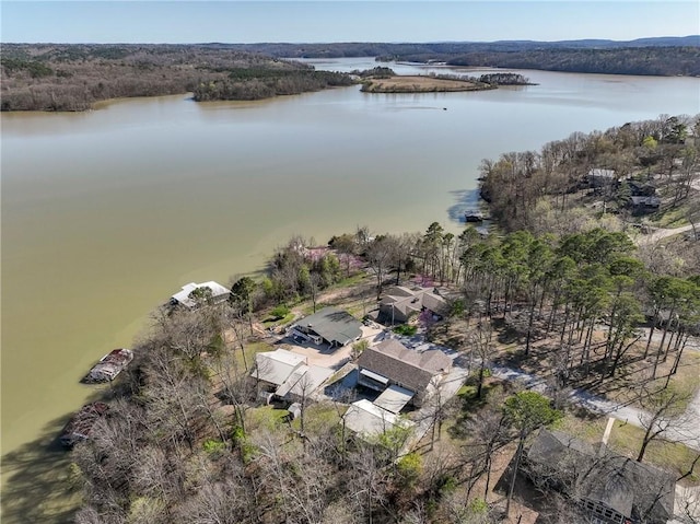 16446 Pin Oak Ln, Rogers, AR 72756 - birds eye view of property with a water view