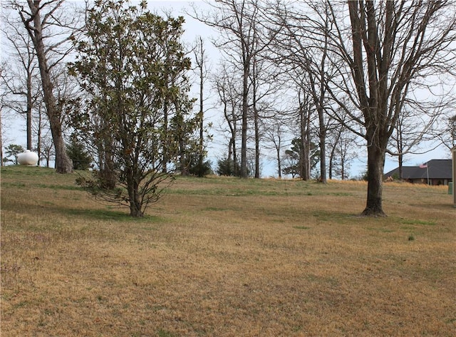 9 Peachtree Cir, Holiday Island, AR 72631 - photo 19