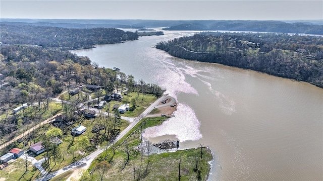 10093 Oklahoma Dr, Rogers, AR 72758 - aerial view featuring a water view