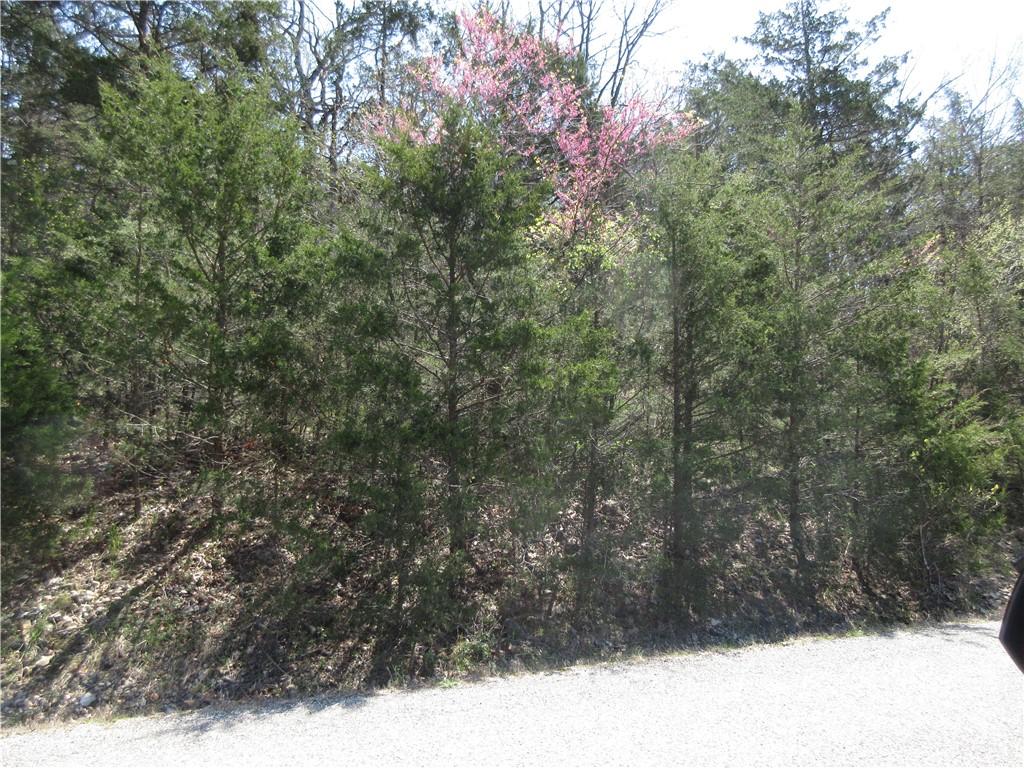 LOT6 Hillside Dr, Holiday Island, AR 72631 - photo 1