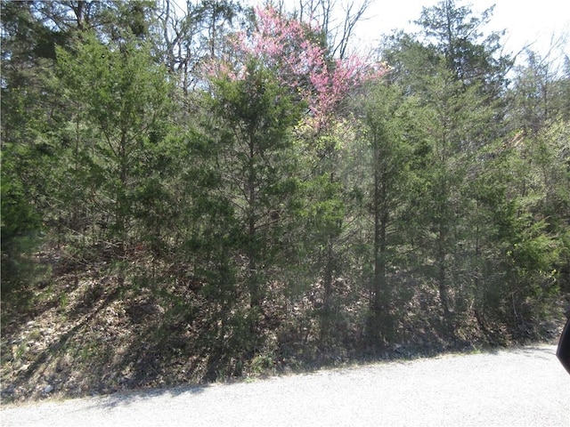 LOT6 Hillside Dr, Holiday Island, AR 72631 - photo 1