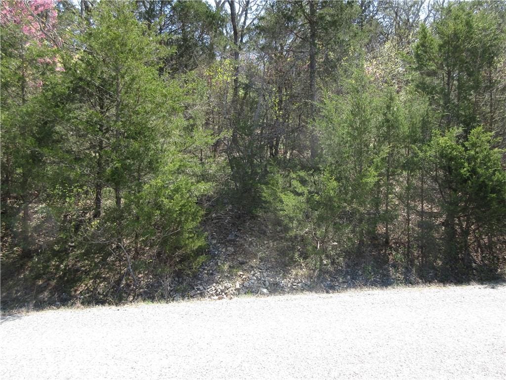LOT6 Hillside Dr, Holiday Island, AR 72631 - photo 2