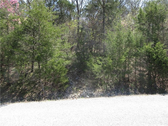 LOT6 Hillside Dr, Holiday Island, AR 72631 - photo 2