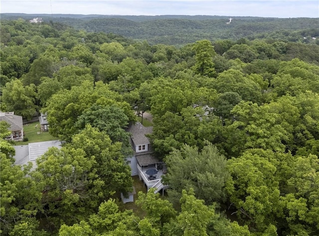 42 Vaughn St, Eureka Springs, AR 72632 - drone / aerial view of a forest