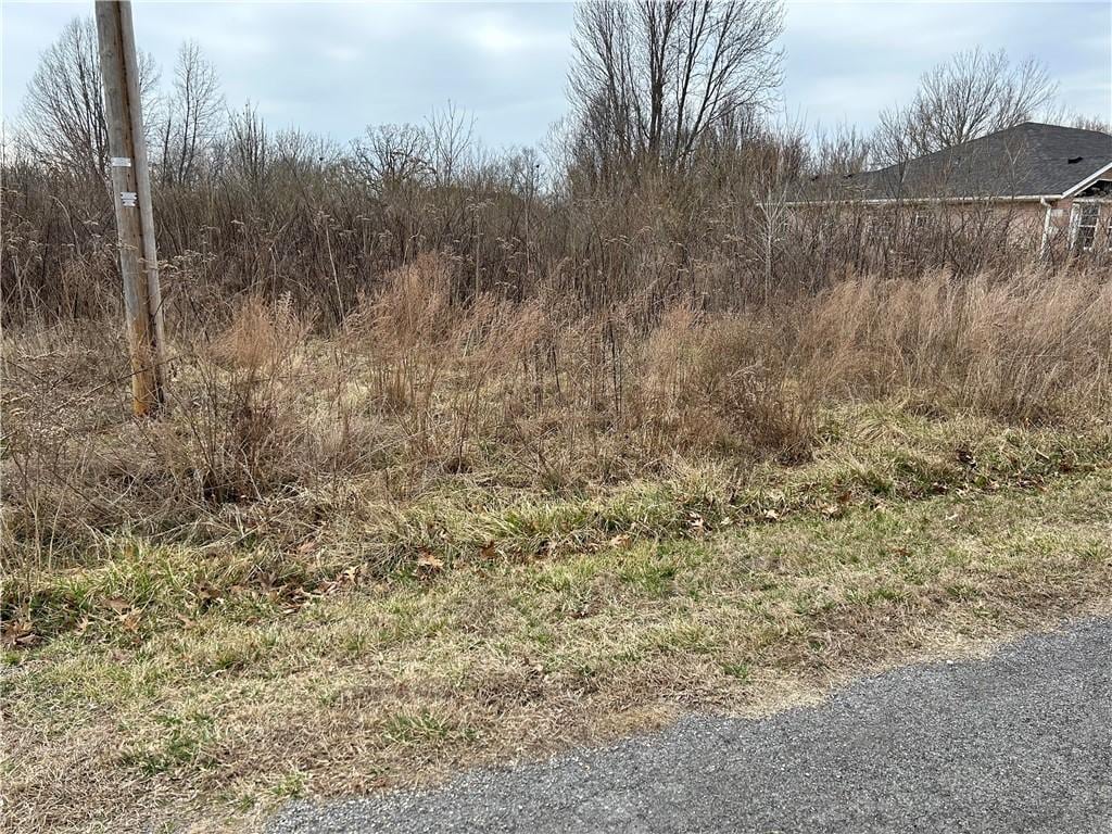 Dunipace Dr, Bella Vista, AR 72715 - photo 1