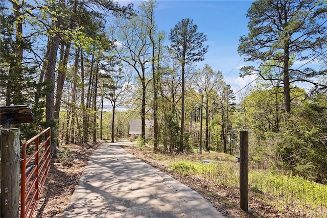 view of home's community featuring driveway and a forest view