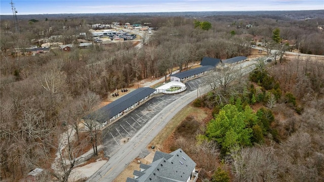 drone / aerial view