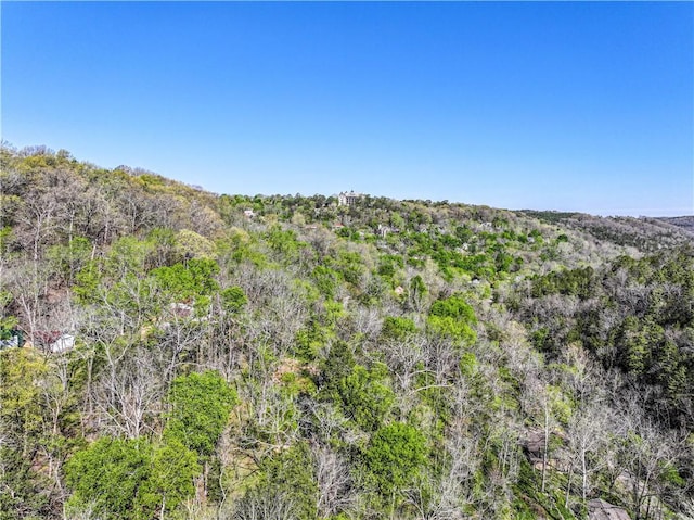 view of landscape featuring a wooded view