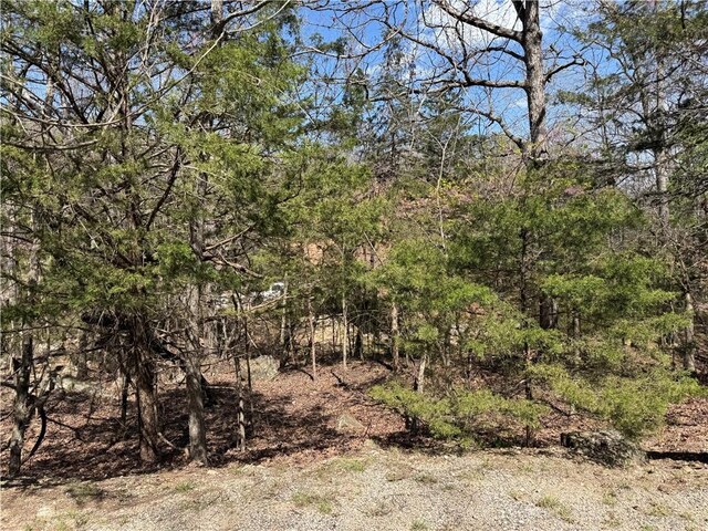 11680 Gainer Dr, Garfield, AR 72732 - photo 39