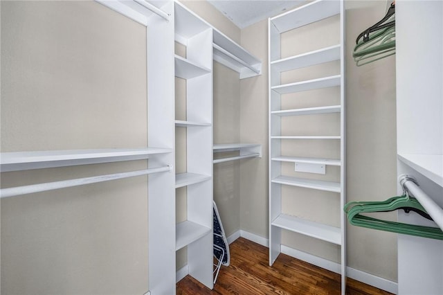 walk in closet featuring wood finished floors