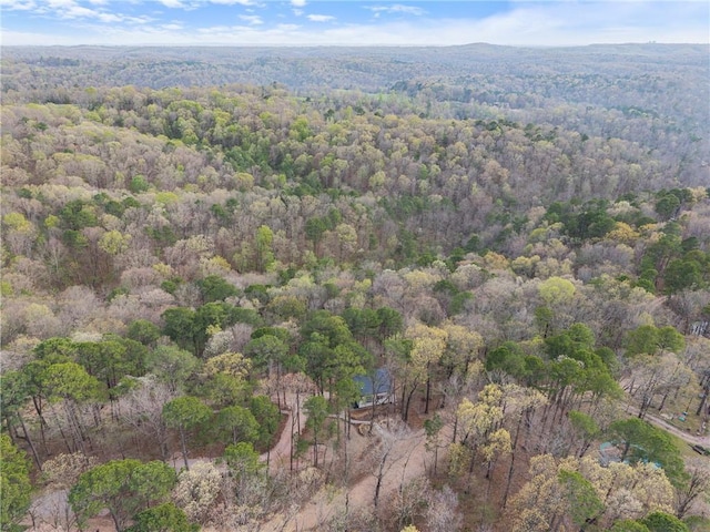aerial view with a view of trees