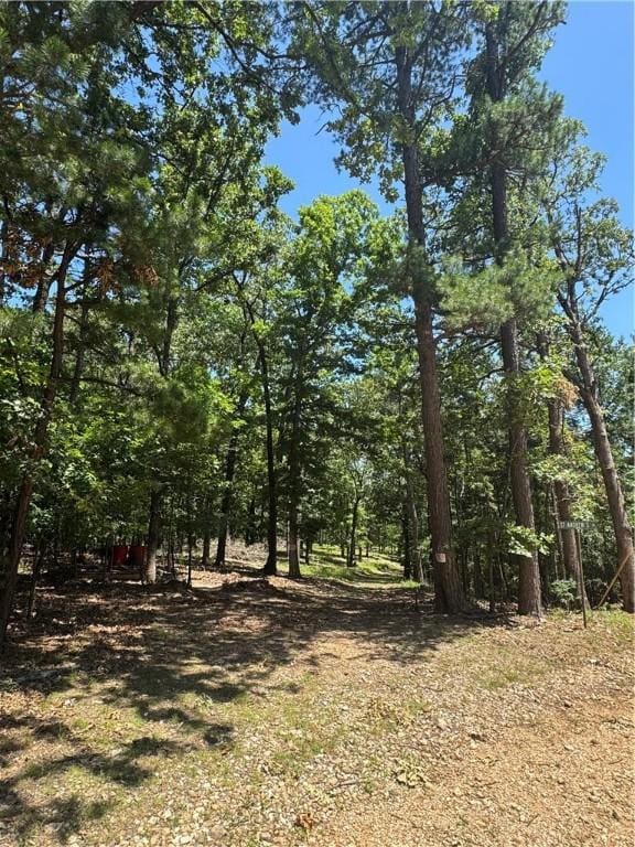 TBD Cr 1027, Eureka Springs, AR 72632 - photo 38