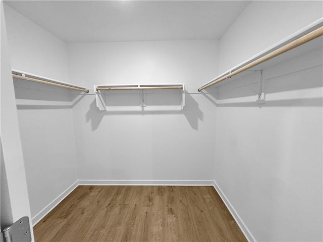 429 W Gosling Isle, Farmington, AR 72730 - walk in closet featuring wood finished floors