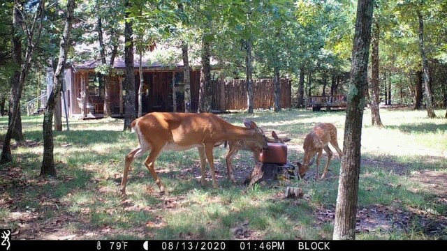 23045 Liberty Trl, Natural Dam, AR 72948 - exterior space