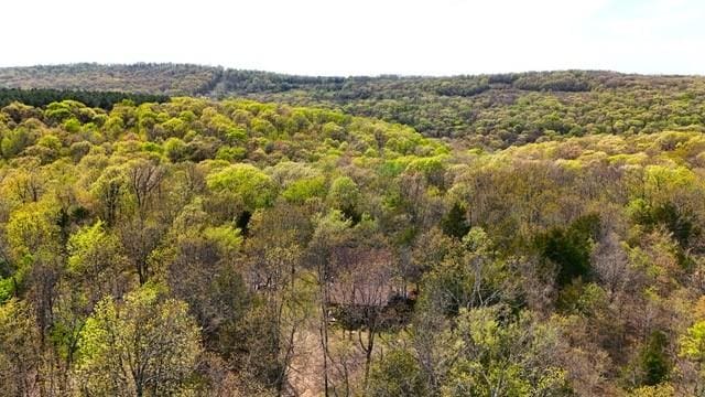 23045 Liberty Trl, Natural Dam, AR 72948 - bird's eye view featuring a view of trees