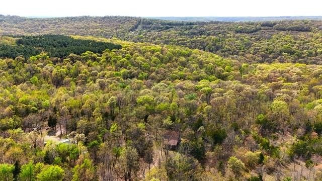 23045 Liberty Trl, Natural Dam, AR 72948 - bird's eye view with a forest view