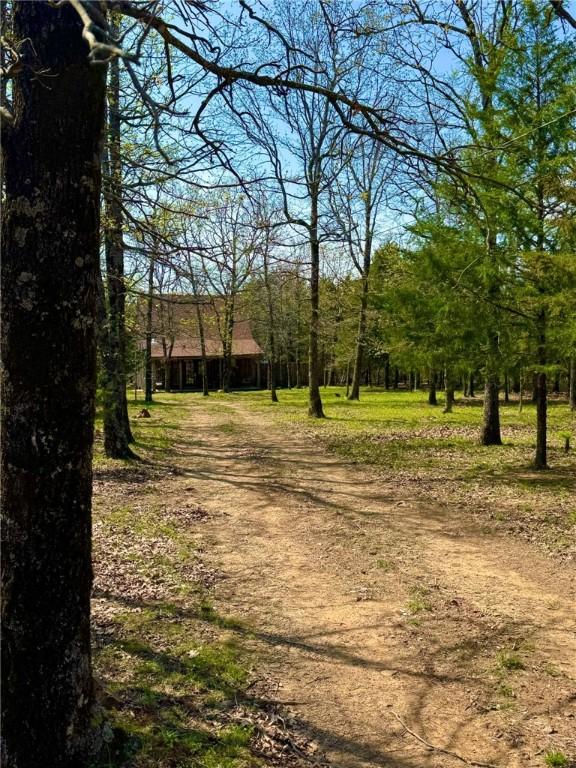 23045 Liberty Trl, Natural Dam, AR 72948 - exterior space featuring driveway