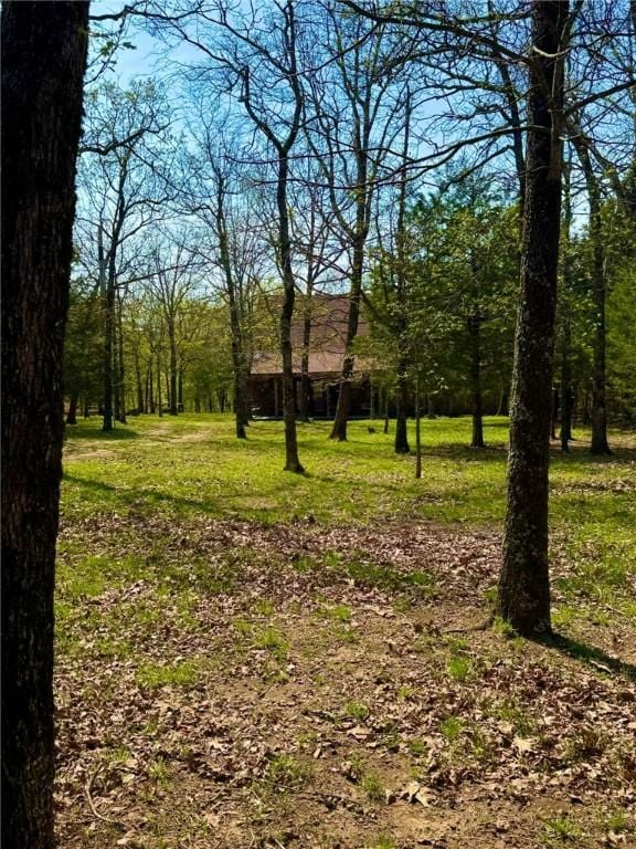 23045 Liberty Trl, Natural Dam, AR 72948 - view of yard