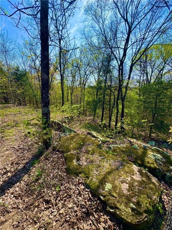 23045 Liberty Trl, Natural Dam, AR 72948 - view of landscape featuring a forest view