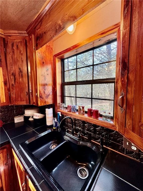 23045 Liberty Trl, Natural Dam, AR 72948 - interior details with wood walls and a sink