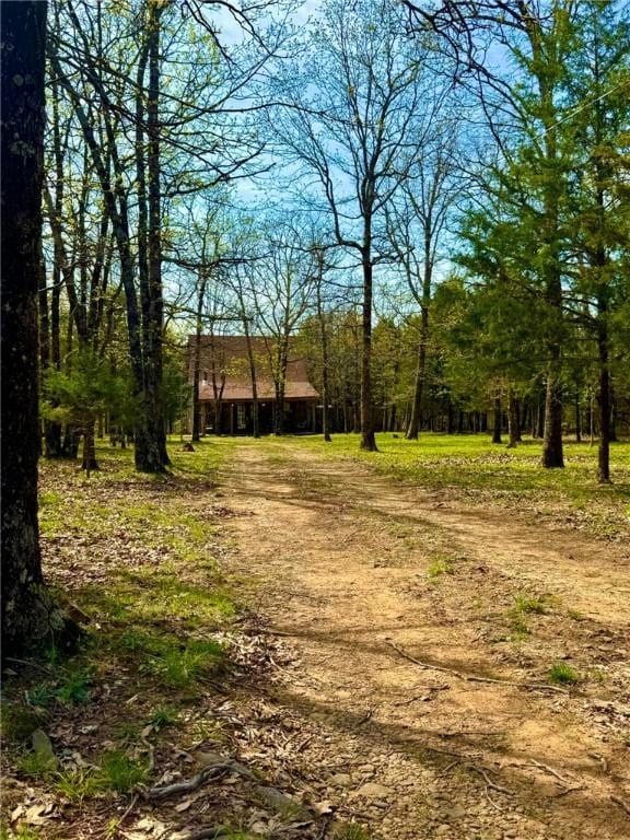 23045 Liberty Trl, Natural Dam, AR 72948 - view of yard featuring a view of trees