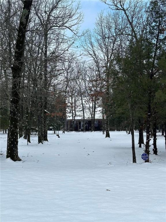 23045 Liberty Trl, Natural Dam, AR 72948 - view of yard covered in snow