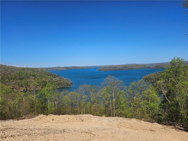 8141 Mundell Rd, Rogers, AR 72756 - photo 16