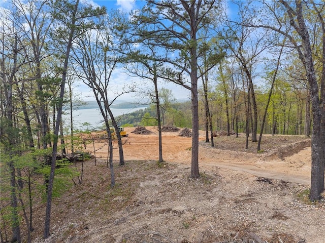 8141 Mundell Rd, Rogers, AR 72756 - photo 7