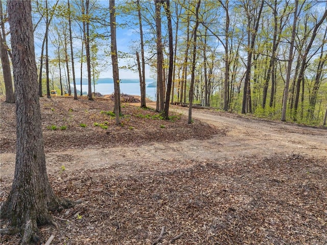 8141 Mundell Rd, Rogers, AR 72756 - photo 8