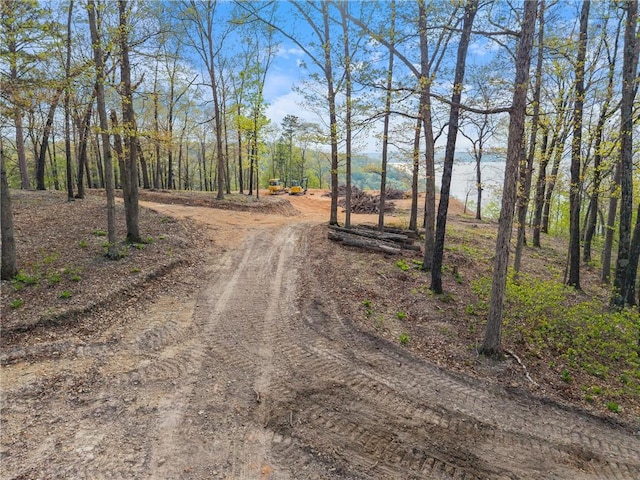 8141 Mundell Rd, Rogers, AR 72756 - photo 10