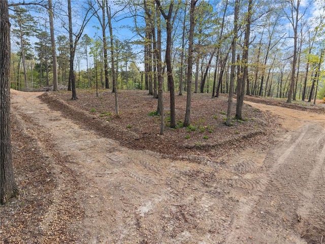 8141 Mundell Rd, Rogers, AR 72756 - photo 11