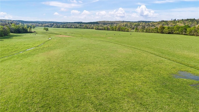 12250 Bluff Rd, Bluffton Township, AR 72827