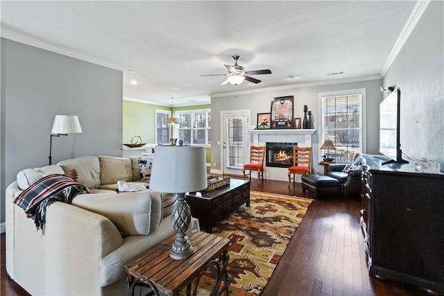 living room with ornamental molding, dark wood-style flooring, a ceiling fan, and a lit fireplace