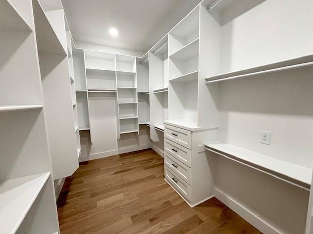 7919 Via Roma Ave, Springdale, AR 72762 - walk in closet with dark wood-style flooring
